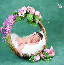 Sedinta foto nou nascut 2018